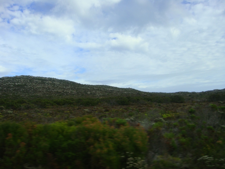 The Cape of Good Hope Nature Reserve